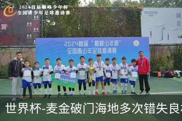 世界杯-麦金破门海地多次错失良机 半场苏格兰1-0领先